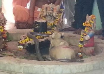 यस्तो अनौठो मन्दिर, जहाँ १५ बर्षदेखि दैनिक सर्पले प्राथना गरिरहेको छ