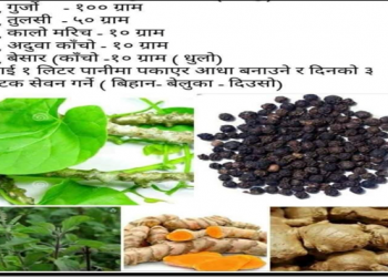यी जडिबुटी नियमित प्रयोग गरे रोग प्रतिरोधात्मक क्षमता बढाउँछ