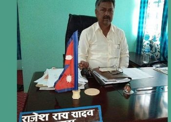 विपन्नलाई कुहिएको राहत वितरण गर्ने मेयर पक्राउ