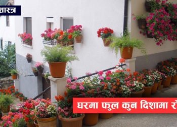 घरको कुन दिशामा कस्तो फूल रोप्नुपर्छ, यसो भन्छ वास्तुशास्त्र