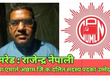 जिल्ला सदस्यमा नेपालीले उम्मेदवारी दिने घोषणा