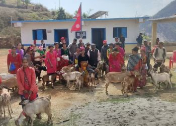 ढकारीका विपन्न समुदायका नागरिकलाई बाख्रा वितरण