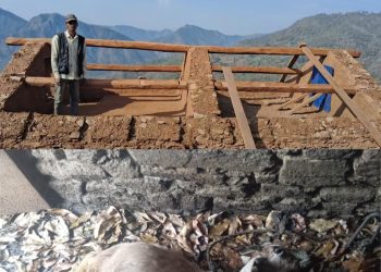 हावाहुरी र चट्याङले गर्दा मंगलसेन ६ र १३ मा क्षति