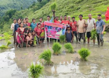 नेकपा अछामद्वारा तुर्माखाँद ८ भम्केलीमा धान रोपाइ कार्यक्रम सम्पन्न
