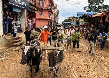 मंगलसेनमा स्थानीयले गरे सडकमै राेपाईँ